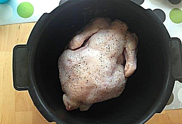 Este posibil să gătești pui congelat imediat sau trebuie să dezgheț