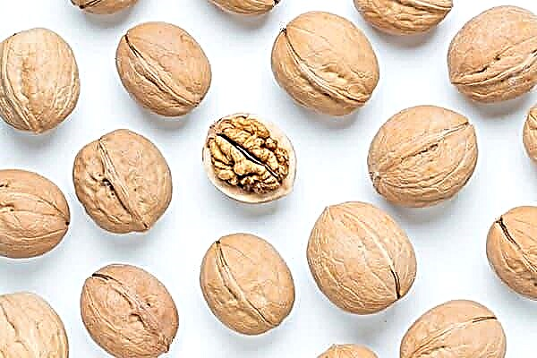 Affordable superfood: beneficial properties and features of walnut