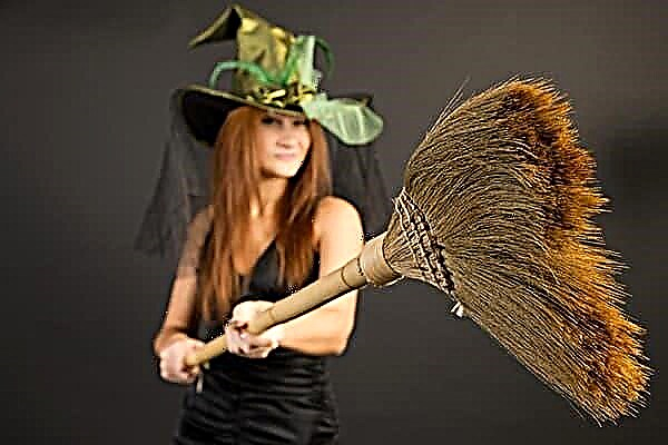 The magical power of a broom - how to “sweep” a little luck in financial and love affairs?