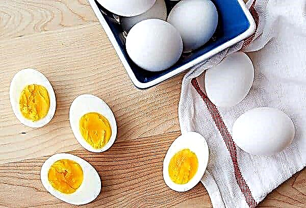 Waarom je lange tijd geen eieren kunt koken: wat gebeurt er