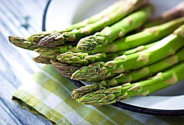 Freeze asparagus so that it stays tasty and beautiful.