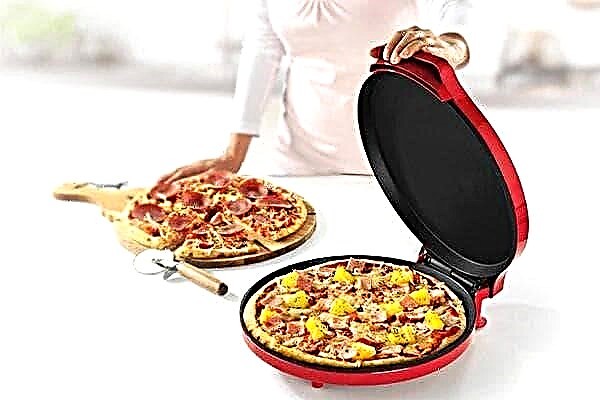 What is a pizza maker, which is better and what else can you cook in it?