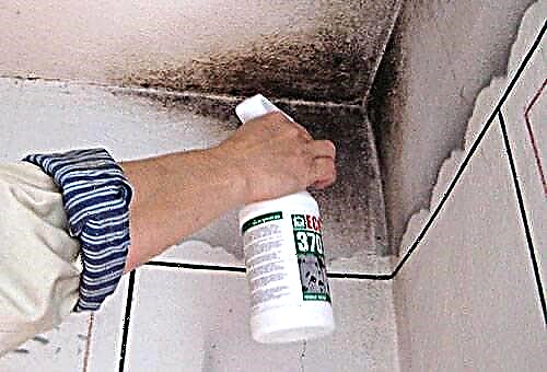 Comment se débarrasser des moisissures sur le plafond et les murs de la salle de bain?