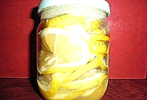 ¿Cuánto tiempo puedo almacenar limones enteros y en rodajas en casa?