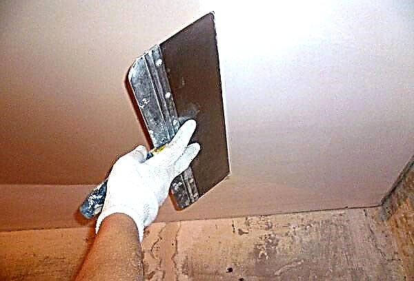 3 types of spots on the ceiling after flooding and the most effective ways to deal with them