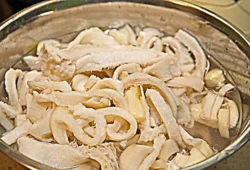 8 Ways to Quickly Clean Tripe