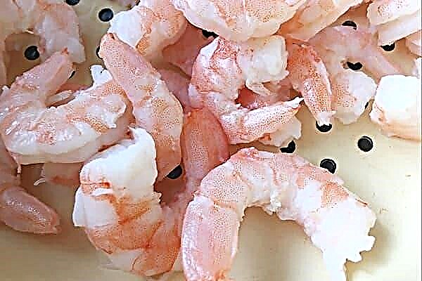 Pourquoi les crevettes après la cuisson se révèlent «en caoutchouc»: 4 raisons