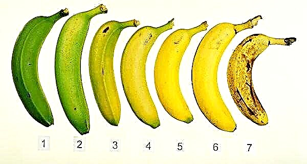 Hvorfor kan ikke bananer lagres i kjøleskapet?