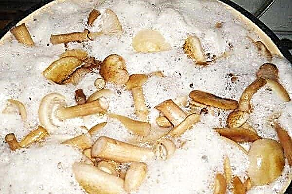 Que faire de la mousse qui se forme lors de la cuisson des champignons?