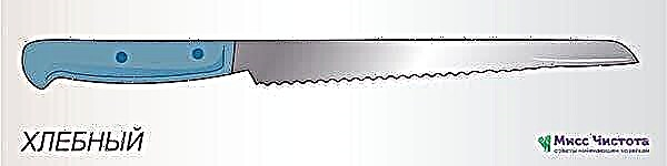 ما أنواع سكاكين المطبخ التي يجب أن تعرفها كل ربة منزل؟