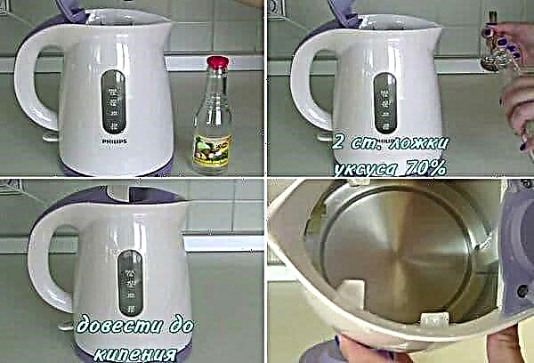 How to completely remove limescale in a teapot with soda, vinegar and citric acid