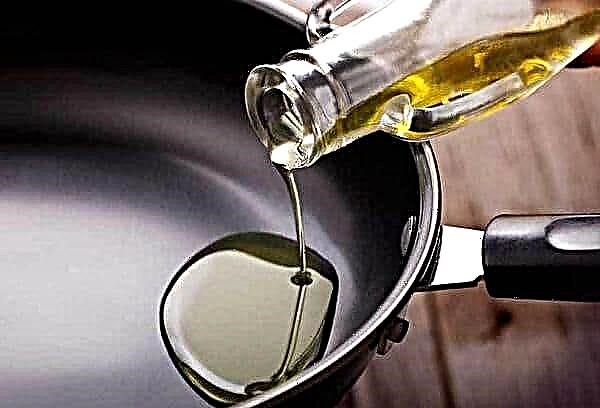 Est-il possible de conserver l'huile d'olive au réfrigérateur - pourquoi précipiter