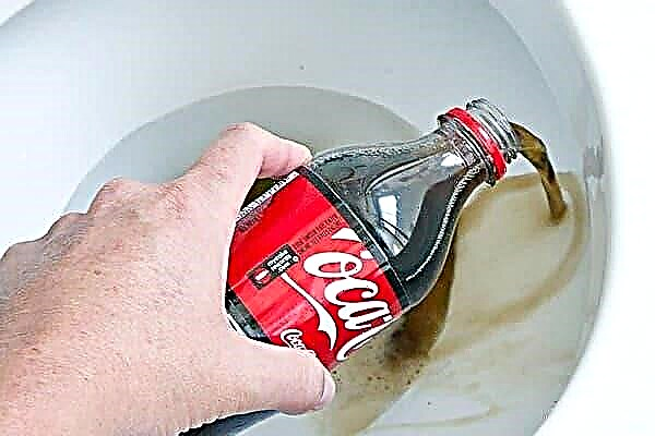 Nous nettoyons les toilettes Coca-Cola - l'histoire de la maîtresse