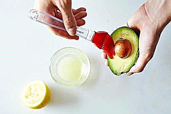 7 Ways to Store Cut Avocados from 48 Hours to 5 Months