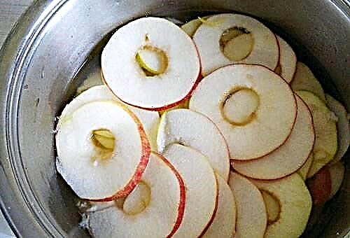¿Cómo secar las manzanas en el horno?