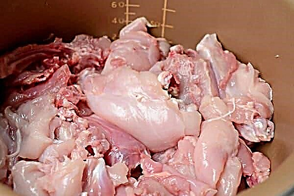 How to soak rabbit and hare meat: recipes with water, wine, vinegar, milk