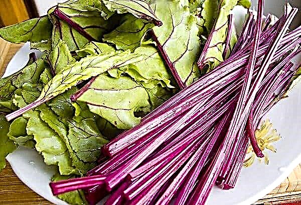 How to freeze beet tops for the winter: ideas for vitamin preparations