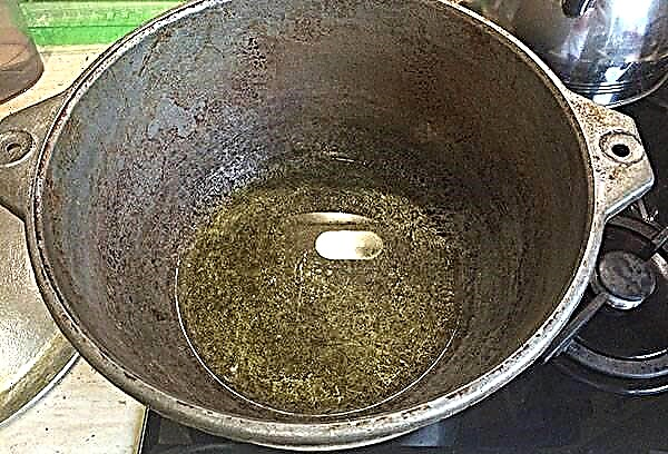 How to clean the old cauldron at home from soot and rust?