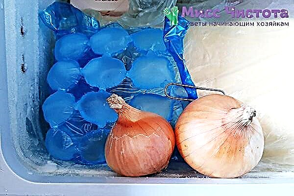 An unexpected find: why put onions in the freezer?