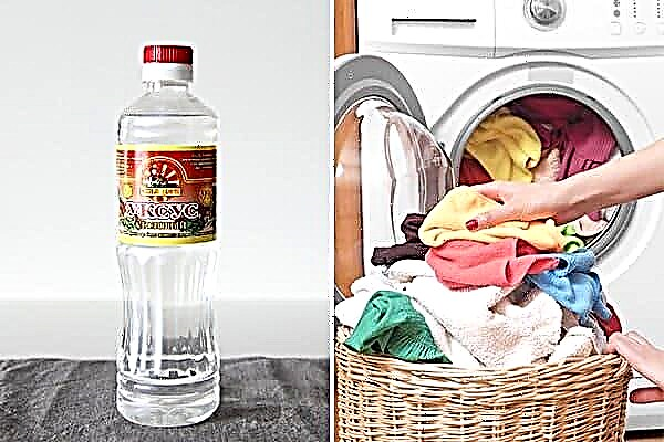 Rätsel für Männer: Warum fügt eine Frau einer Waschmaschine Essig hinzu?