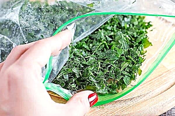 How to freeze parsley for the winter: 3 ways