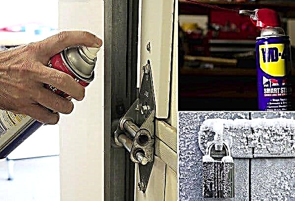 Cómo lubricar la cerradura de la puerta: instrucciones para el hogar y el automóvil