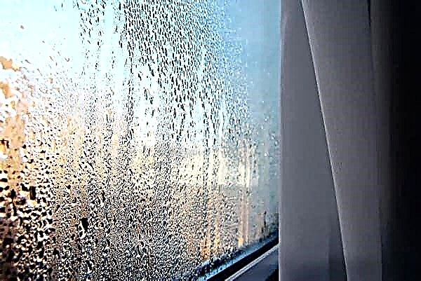 Por que as janelas de plástico estão suando e como lidar com esse problema?