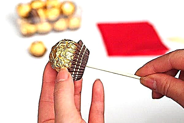 Hoe u op 14 februari eenvoudig en snel een boeket snoepjes kunt maken - drie opties om zelf te maken