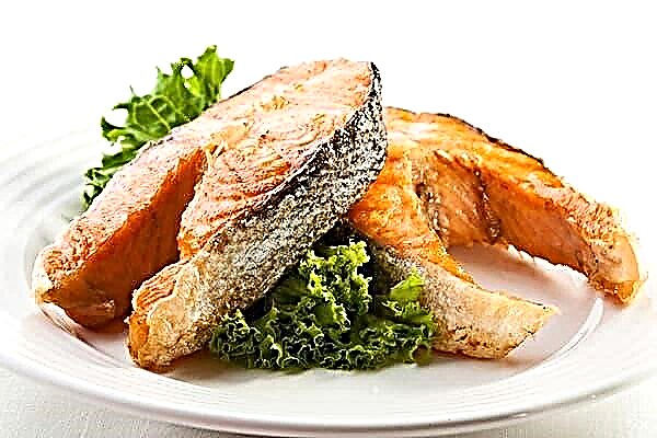 Estoques seguros: quanto peixe frito pode ser armazenado na geladeira