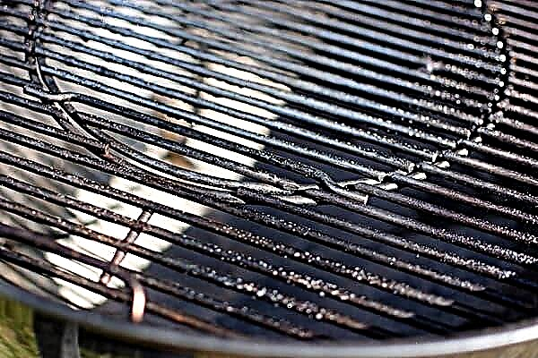 How to wash the grill from grease and soot in two counts?