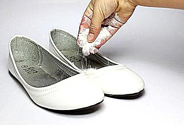Como usar o desodorizante de sapato faça você mesmo?