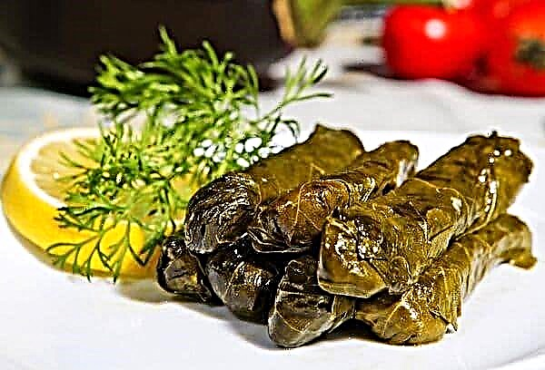 Stock for dolma for the whole winter or how to freeze grape leaves: