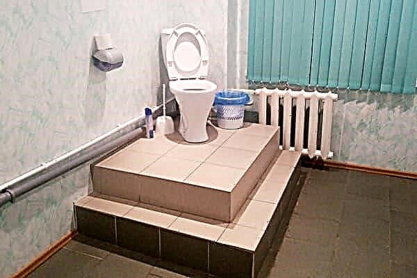 फेंगशुई में शौचालय क्या होना चाहिए - प्राच्य शिक्षाओं के स्वामी सभी रहस्यों को प्रकट करते हैं