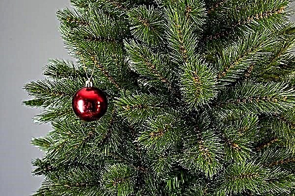 Para hacerlo mejor que el real: ¿cómo elegir un árbol de Navidad artificial?