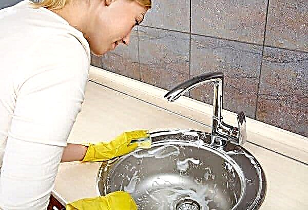 Is it possible for Pemolux to wash dishes: can it harm dishes and health
