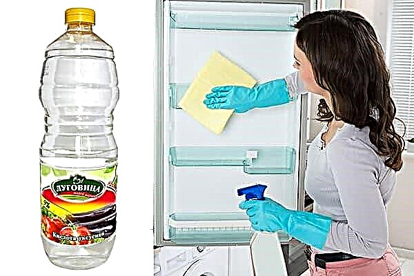 Myjeme ledničku z plísní: 5 způsobů a 7 hotových výrobků