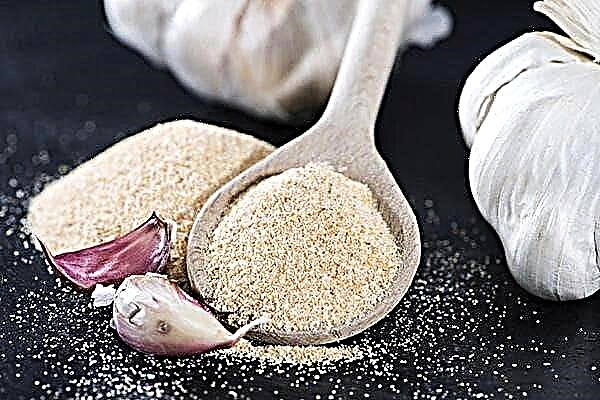 Como usar alho seco na culinária?