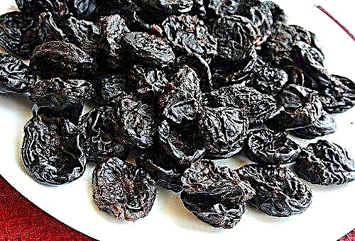 How to choose prunes and keep it for a long time at home?