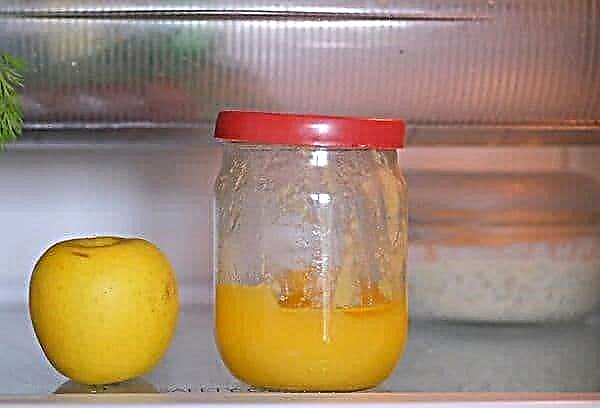 العسل في الثلاجة - هل هو ممكن وضروري؟ إجابة مرجحة