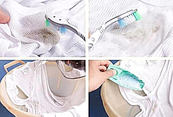 Cách giặt dầu rắn từ quần áo