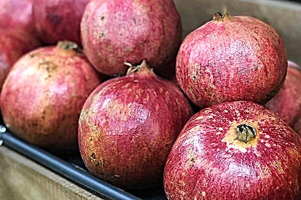 3 secrets will help you choose the right ripe and sweet pomegranate