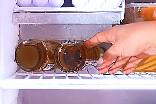 Is it possible to store beer in the freezer and what to do with a frozen drink?
