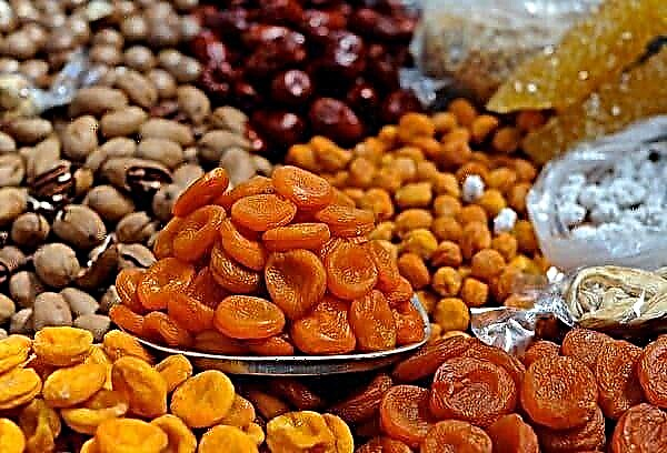 Should I wash dried fruits and nuts from the packaging? Why is it necessary