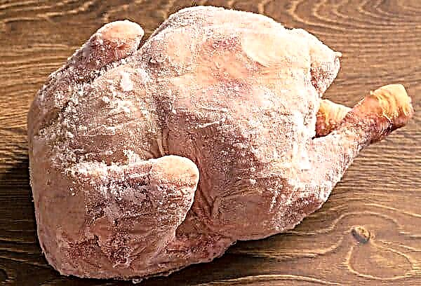 Ist es möglich, rohes, eingelegtes, gebratenes, gekochtes Huhn im Gefrierschrank zu lagern?