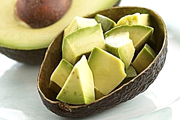 Kjøpte en avokado og skrudd fast? Lær å identifisere moden frukt med et øyeblikk