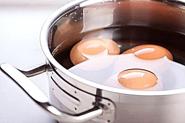 Is it possible to throw eggs in already boiling water? Are they welded or cracked?
