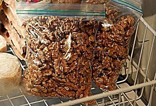 Ako udržať vlašské orechy v škrupine, ošúpané a zelené?