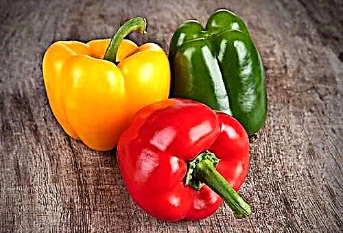 How to reliably keep home bell peppers for the winter