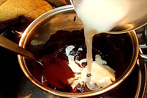 Cómo derretir chocolate en el microondas, en un baño de agua para un pastel o fondue: secretos