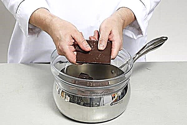 Confectionery educational program: how to melt chocolate for cake, fondue and other desserts?